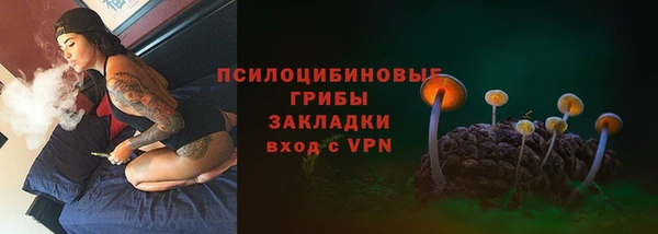 прущая мука Алзамай