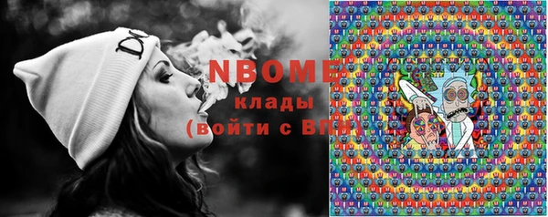 тгк Абаза