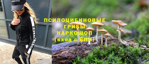 прущая мука Алзамай